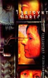 Cover file for 'Labirynt odbić'