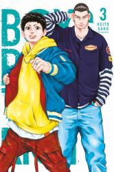 Cover file for 'Boys Run the Riot, tom 3'